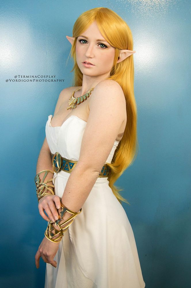 Breath of the Wild Princess Zelda