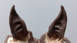 Link and Zelda Breath of the Wild: Elf Ears