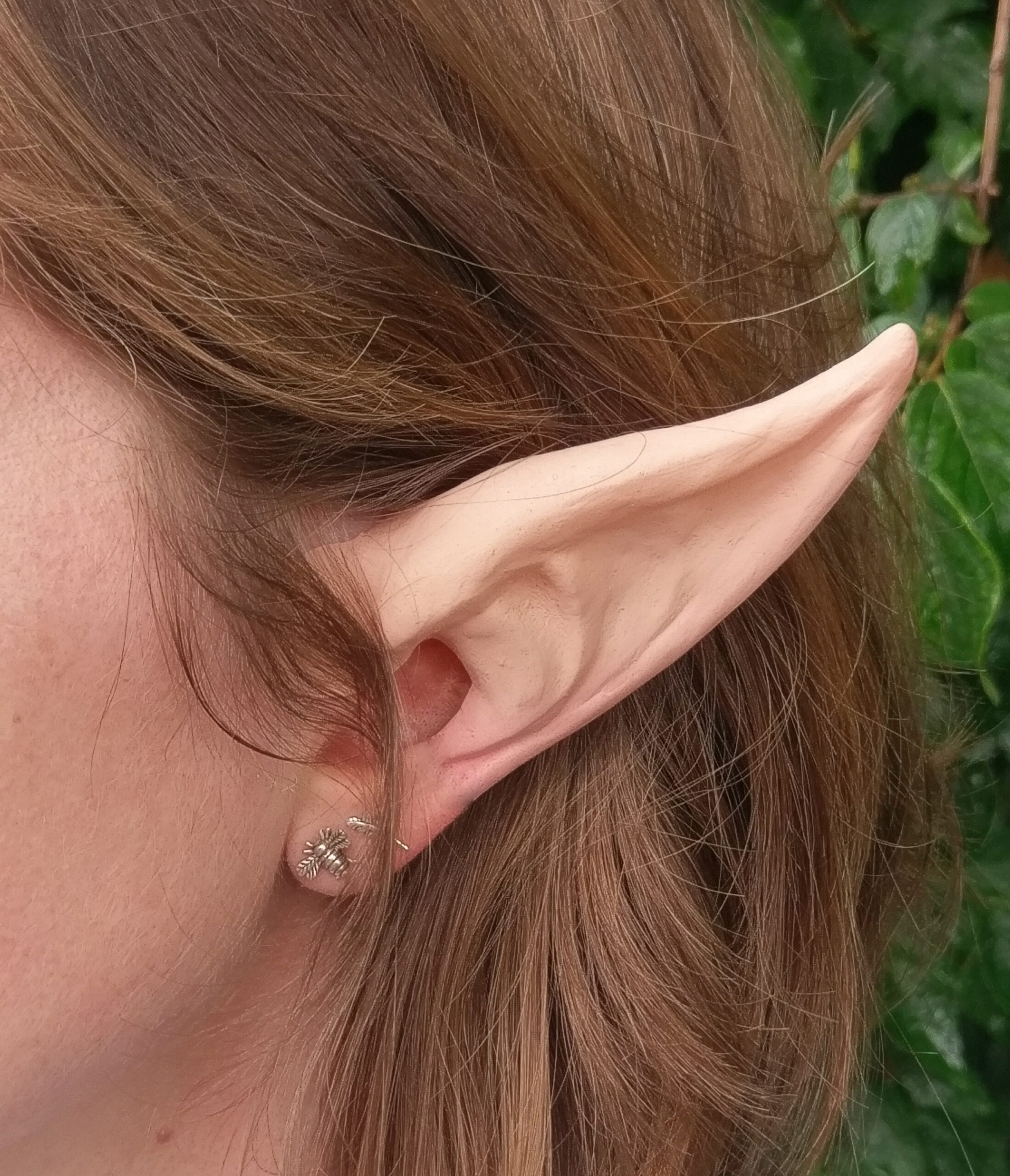 Aradani Wild Elf Ear